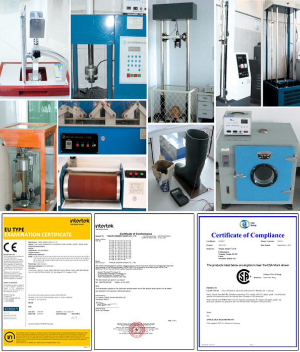 ASD (3)
